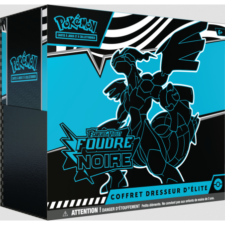 ETB FOUDRE NOIRE / FLAMME BLANCHE EV10.5