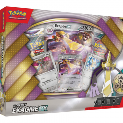 COFFRET EXAGIDE EX