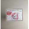 Display Bundle Protection Acrylique Pokémon